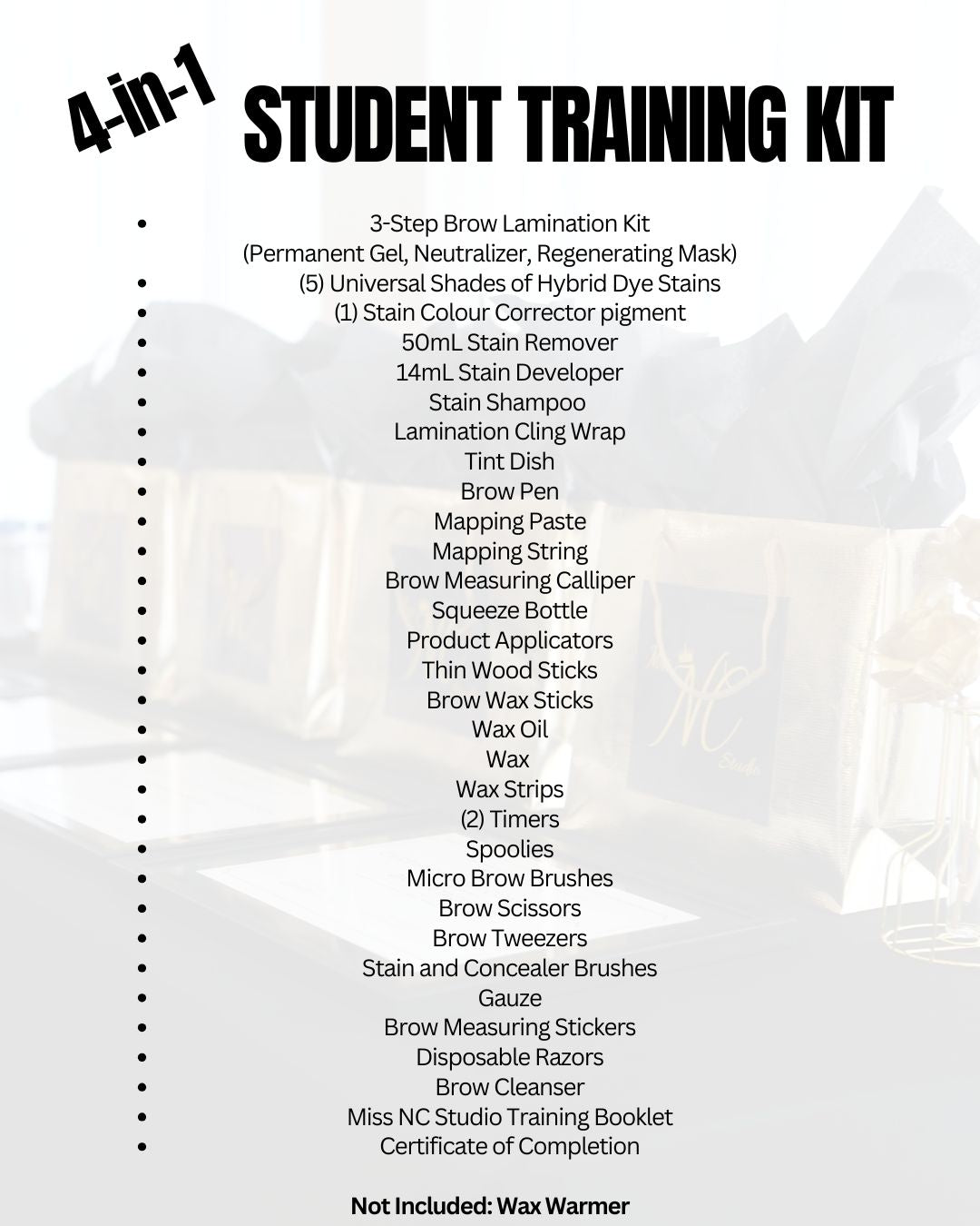 2-DAY BROW MAP, WAX, STAIN & LAMINATION TRAINING
